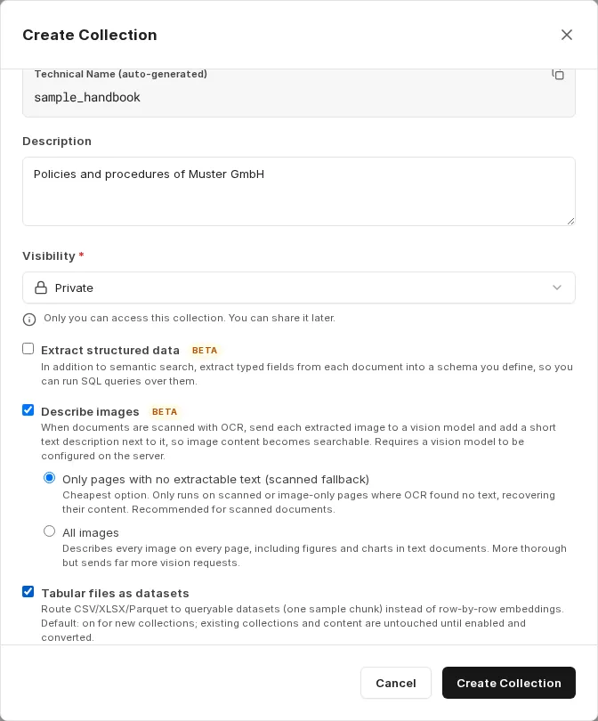 Image description options: only pages without extractable text, or all images